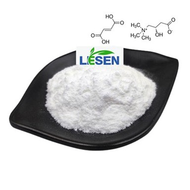 L carnitine fumarate poud