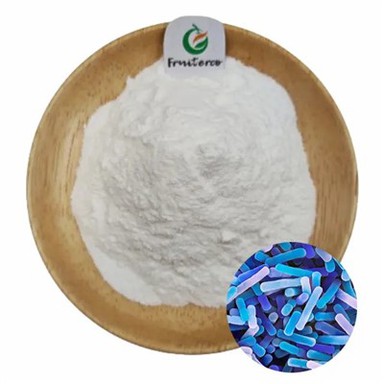 Lactobacillus bulgaricus poud