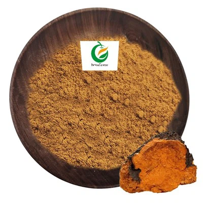 Ekstrè òganik chaga